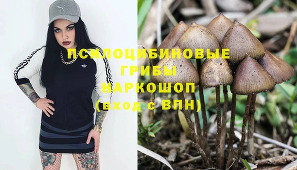 спайс Балахна